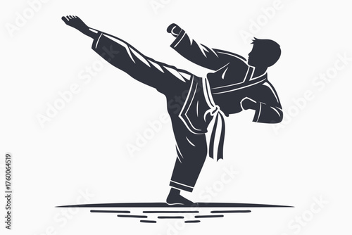 Silhouette depicts a martial artist executing a high kick in a dynamic action