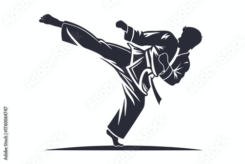 Silhouette depicts an active sportsman in martial arts attire performing a powerful kick on the white background