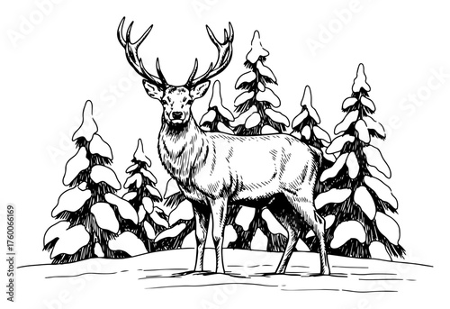 Majestic Deer Stag in Snowy Forest