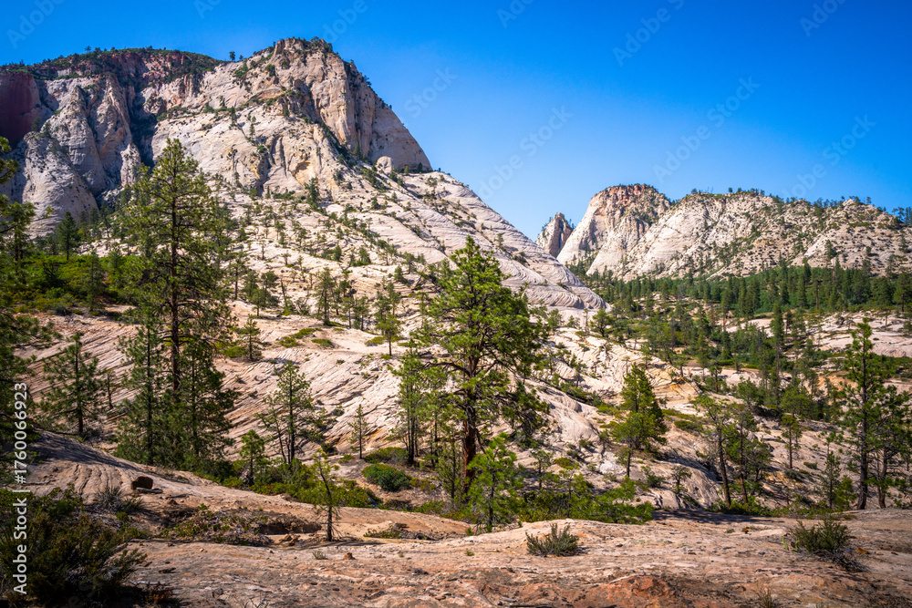 Fototapeta premium hiking in zion national park in utah, usa