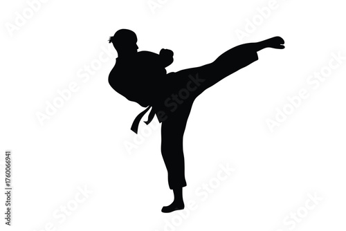 Silhouette shows a martial arts expert powerfully executing a high kick in his uniform
