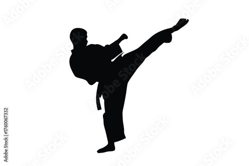 Silhouette reveals focused woman executing a powerful kick in her martial arts practice