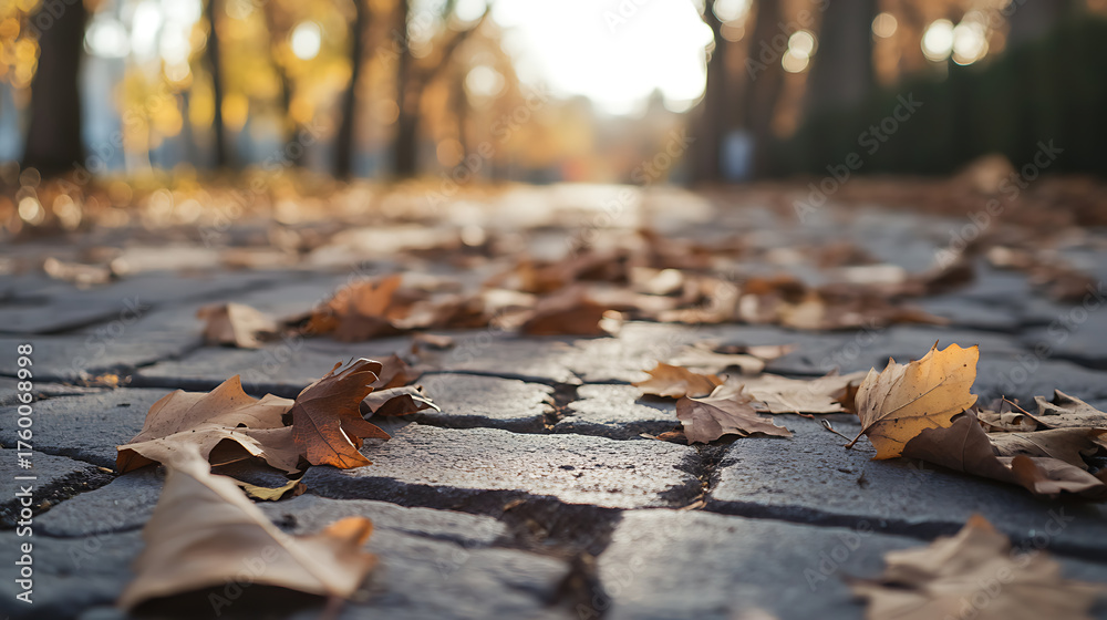 Fototapeta premium Autumn pathway view with fallen leaves on gray stones, bathed in warm sunlight. Serene ambiance of nature's seasonal transition, inviting a tranquil stroll.