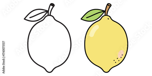 Yellow lemon fruit and outline coloring page citrus