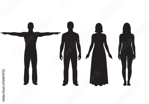 Vector art of set of human silhouette, perfect for anatomical studies and design projects