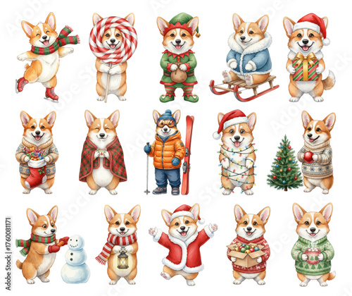 Adorable Corgis Celebrating Festive Winter Holidays