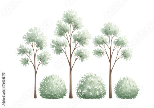 Vector art of watercolor illustration of trees and bushes, perfect for a serene nature scene