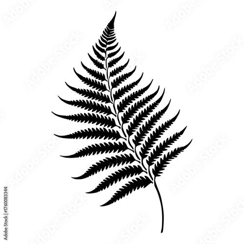 Vector isolated one single fern leaf black silhouette on a white background. Stencil for painting, wall art, scrapbooking. Fern frond stencil. Painting stencil for wall. Floral stencil DIY