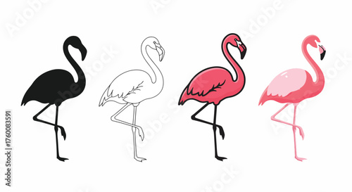 Vector art of set of flamingo illustrations in different styles, including silhouette, outline, pink, and light pink