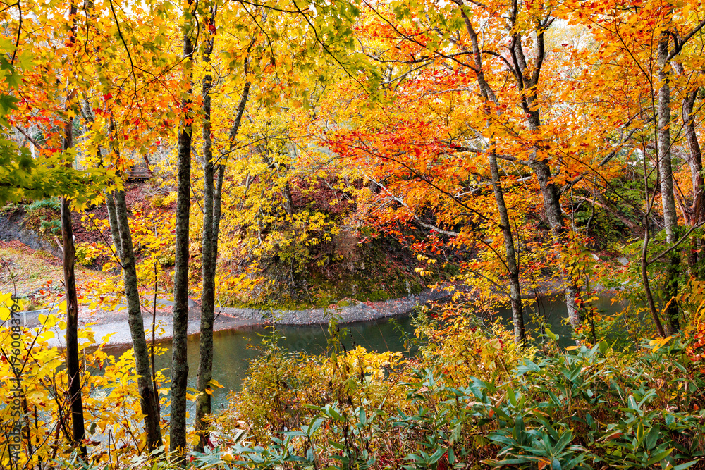 Obraz premium 秋の滝上町の風景