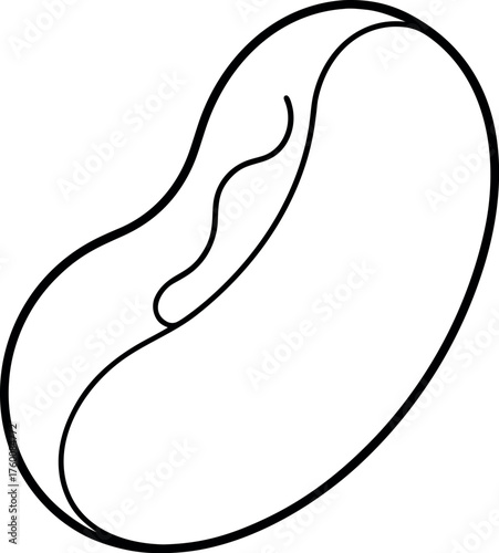 Black and White Bean Seed Line Art for Agriculture and Food Design