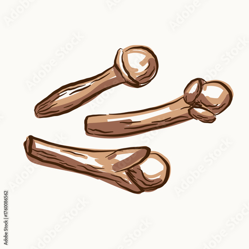 Clove spice. Coloured sketch aromatic cloves on isolated background. Hand drawn dried Carnation flowers bud plant. Food, bake, essential oil, medicine, tea. Vector illustration. Design element 