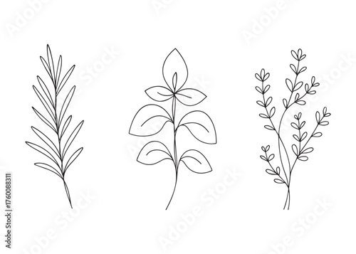 Minimalist Botanical Line Art Set – Elegant Floral Line Drawing Leaves & Branches Illustration