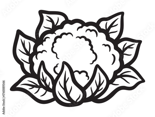 Black outline illustration of a cauliflower head with detailed external florets and surrounding leaves.