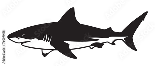 Black and white silhouette of a great white shark depicting its distinct dorsal fin and streamlined body in a side profile view.