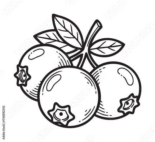 Black outline illustration of three plump berries with leaves, featuring detailed linework and shading to highlight the fruit's texture and natural form.