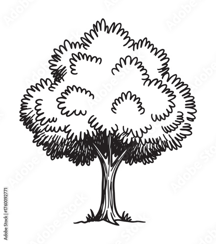 Black outline drawing of a simple, leafy tree with a sturdy trunk and dense rounded foliage. illustration suitable for nature, gardening, and botany themes.
