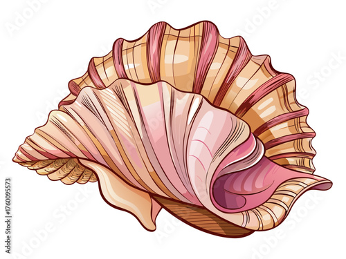 Realistic vector illustration of seashell with detailed ridges, natural beige and pink tones, isolated on white background, beach marine art