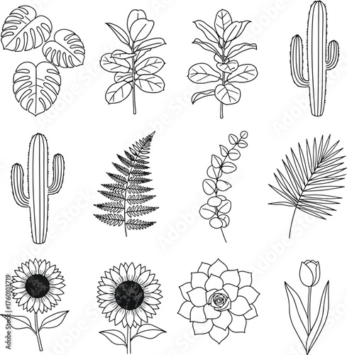 Black and White Botanical Line Art Collection Hand Drawn Vector Set