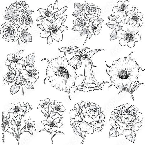 Vintage Floral Hand Drawn Set Botanical Sketch Collection