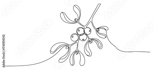 Mistletoe One Line Art. Continuous Drawing of a Christmas Branch. Vector Holiday Illustration.