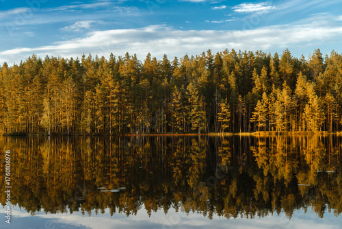 Autumn beautiful pine forest and blue calm  lake with reflections at sunset. 