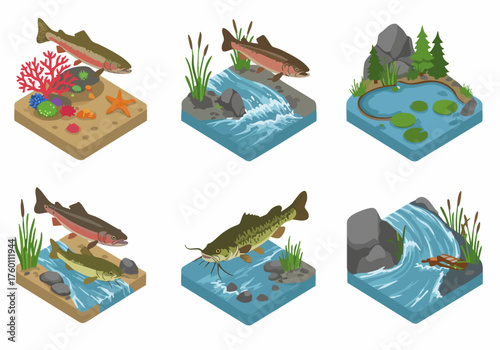 Isometric Detailed Fish Habitat Nature Scene Environment Icon Illustration Set