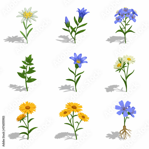 Watercolor Detailed Floral Blossom Arrangement Illustration Set on White Background