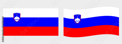 Slovenia flag wave and flat vector Illustration
Vector flag