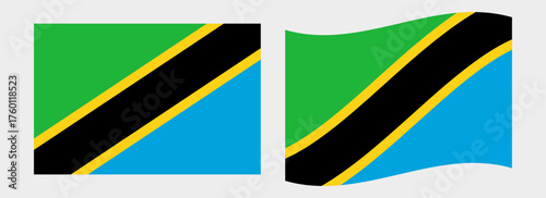 Tanzania flag wave and flat vector Illustration
Vector flag