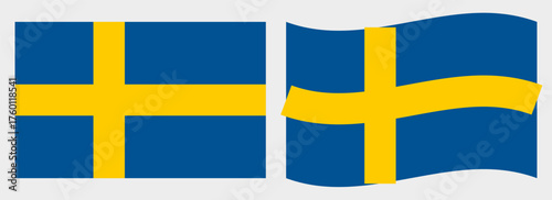 Sweden flag wave and flat vector Illustration
Vector flag