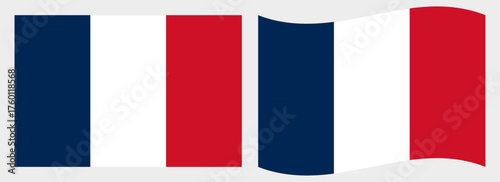 France flag wave and flat vector Illustration
Vector flag