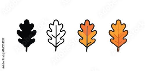 Vector icon oak leaf fall same pose same proportions four styles black solid glyph outline minimal flat multicolor filled cartoon flat shaded.