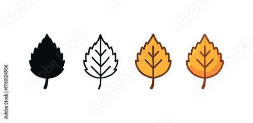 Vector icon birch leaf same pose same proportions four styles black solid glyph outline minimal flat multicolor filled cartoon flat shaded.