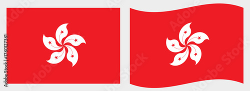 Hong Kong flag wave and flat vector Illustration
Vector flag