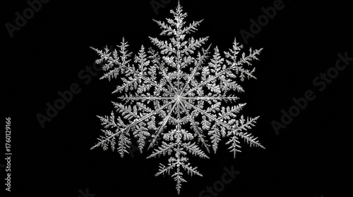 An exquisite snowflake displays intricate designs with fine details, highlighting the unique beauty of winters chill in high resolution.