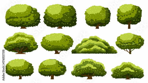 set of green trees