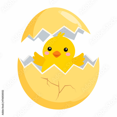 easter egg with chicken, chicken with egg, chicken and egg, 