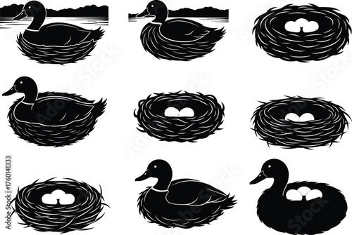 Duck and nest silhouette set showing egg-filled shelters, water scenes, sitting ducks, wildlife behavior, and nature-inspired avian compositions.