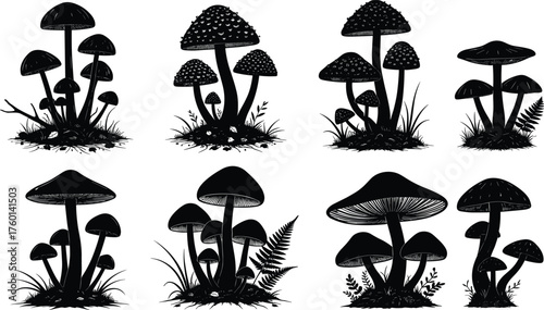 Eight different style forest mushrooms pure black black silhouette collection isolated on white background for natural botanical fungus vector illustration design.