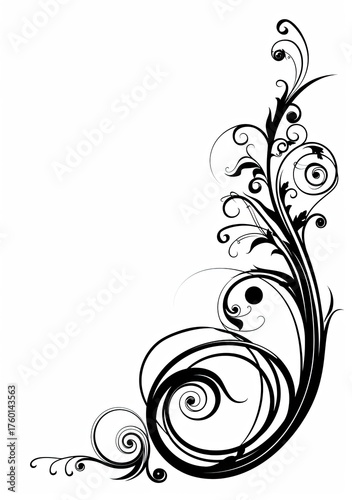 Ornate floral swirl design element flourishes in corner, blank background; for invitation