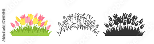 Flowerbed with blooming tulips in green grass. Blossom buds compositions in three styles colorful flat, thin line and black silhouette. Floral summer field, spring meadow. Garden plant nature symbol