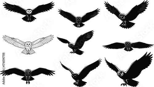 Flying owl silhouettes with prey in talons, black and white vector illustration showcasing bird motion, predator behavior, and wildlife anatomy