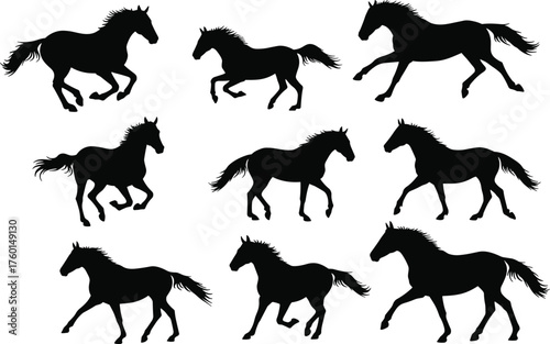 Horse Silhouette Vector Set Showing Dynamic Running and Trotting Poses for Equine Motion Study, Animation, Art, and Design Reference