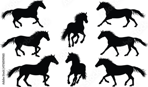Horse Silhouettes in Motion – Running, Trotting, Rearing, Black Vector Set of Dynamic Poses for Equine Art, Anatomy, and Design