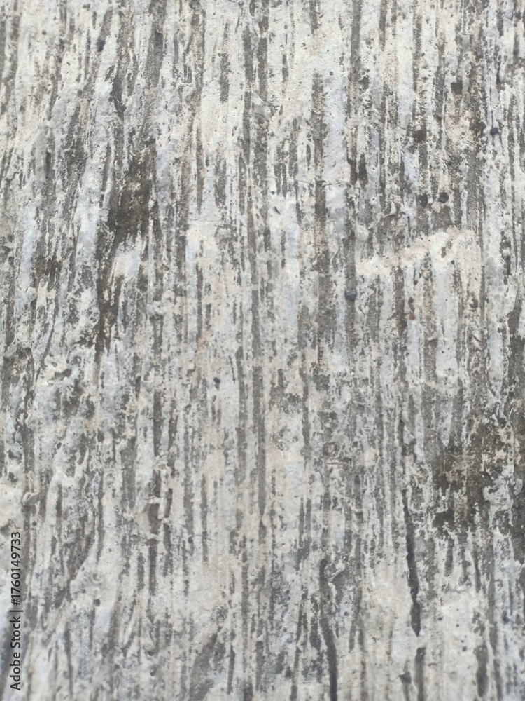 Obraz premium snow covered tree