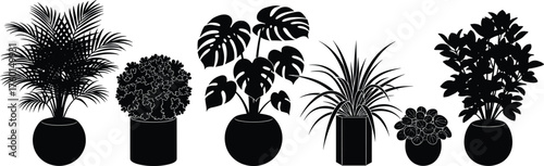 Minimal indoor potted plants vector set with tropical leaves, modern foliage silhouettes, home decor greenery, botanical illustration for design use
