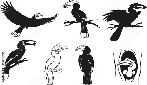 Hornbill bird vector set showing flight, perched, feeding, nesting, and detailed casque poses in black and white wildlife style