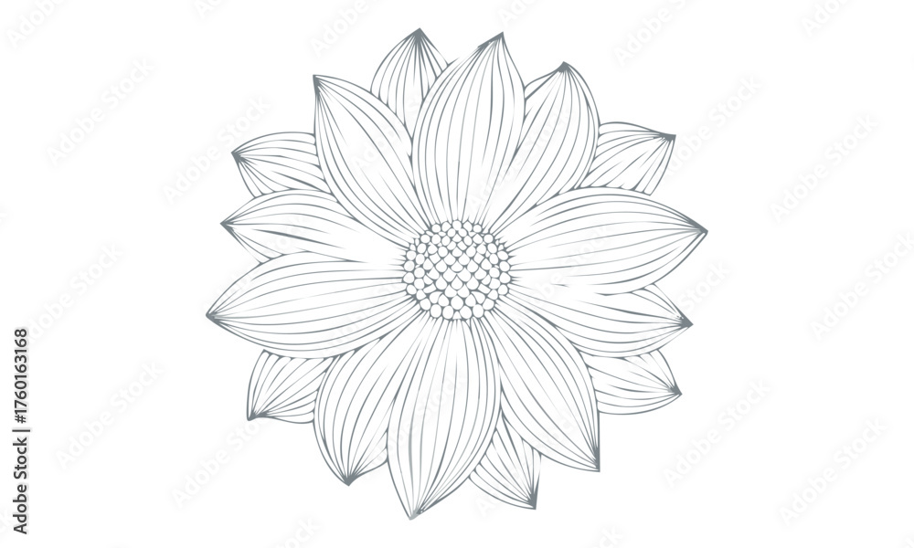 Fototapeta premium 花の線画