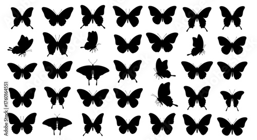 A stunning collection of diverse butterfly silhouettes showcasing various graceful poses.